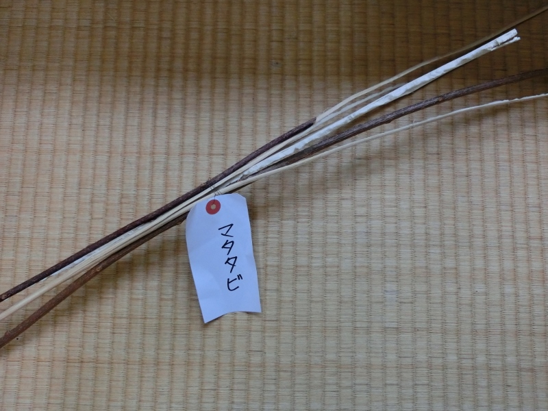 奥会津　三島町　編み組細工　マタタビ